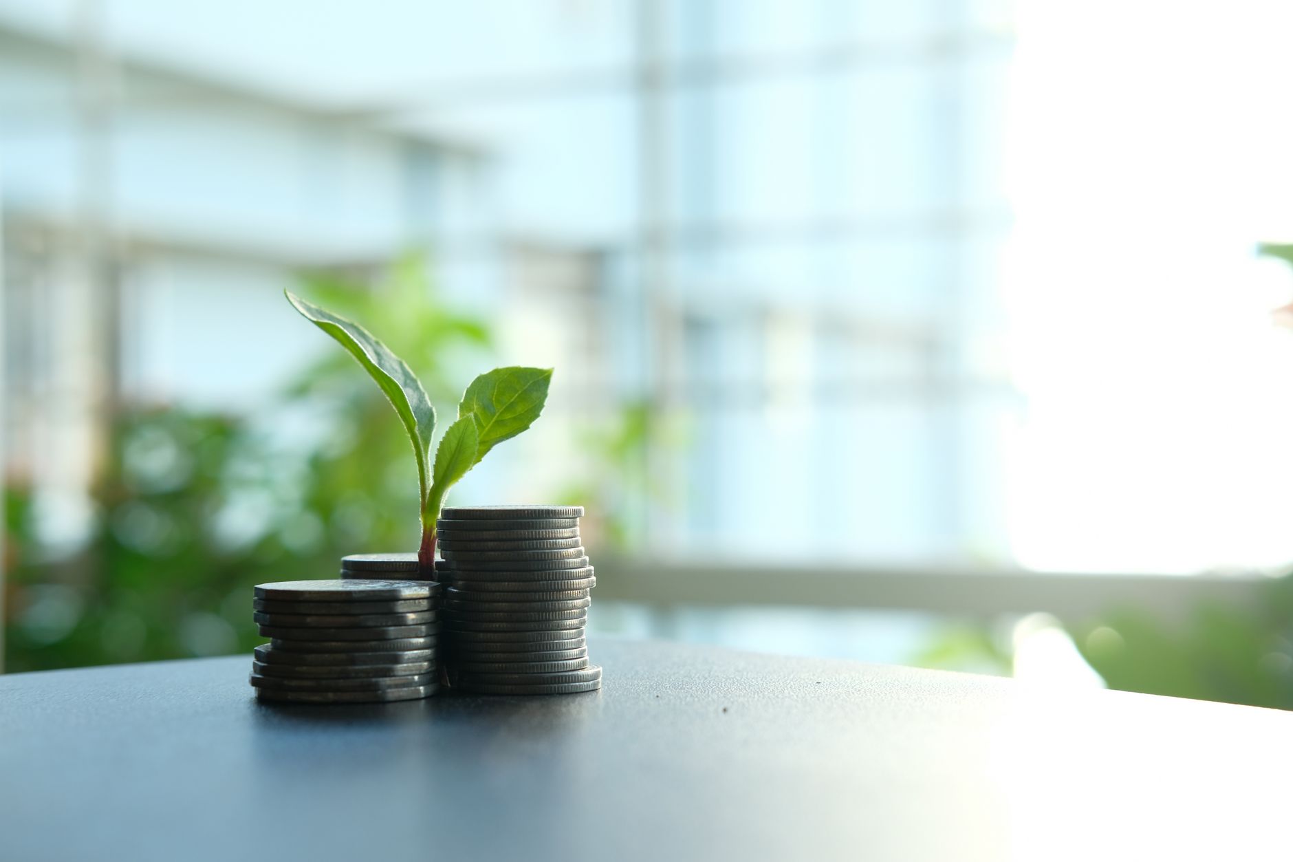 BCDA investment growth